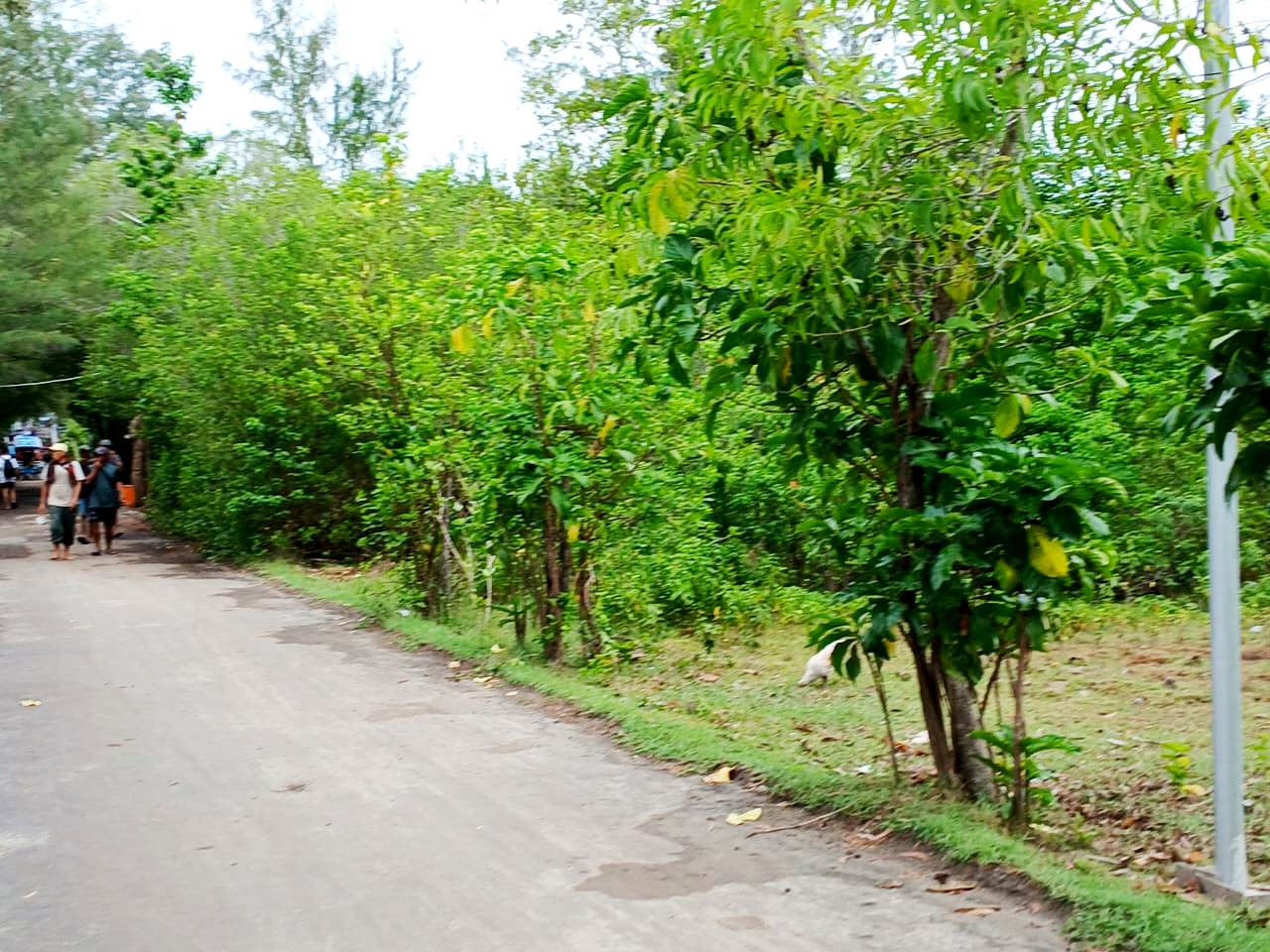 Land For Sale > NATRABU, Gili Meno